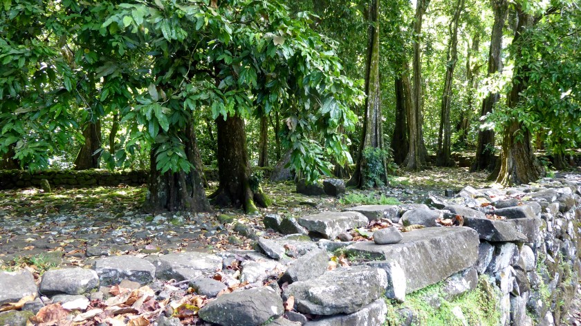 Maraes still seem to be revered as parks are built around them.