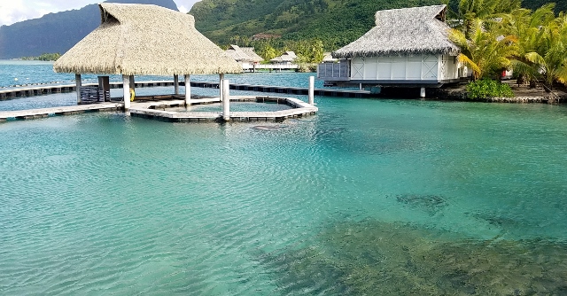 The Dolphin Aquarium