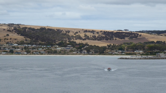 We anchored at Penneshaw and tendered to the ferry dock.