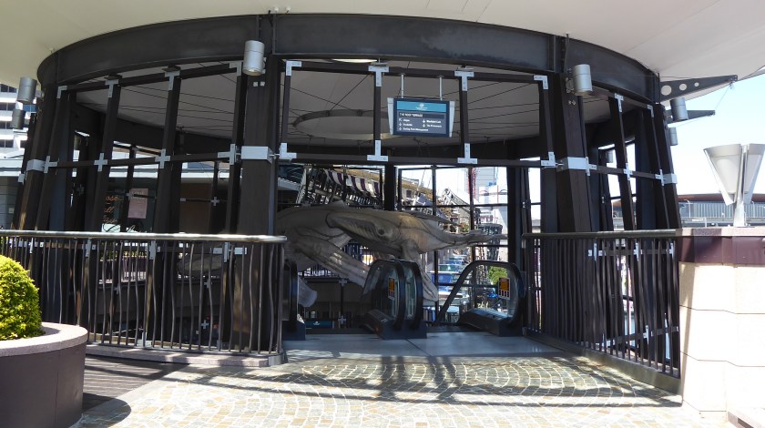 Multi levels for viewing!