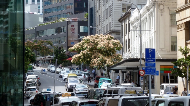 Downtown street view.