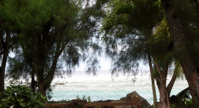 Along the walk into town.