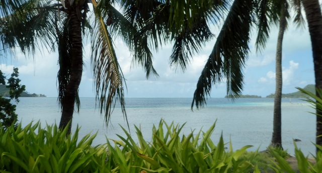 On the Shuttle to Bloody Mary's