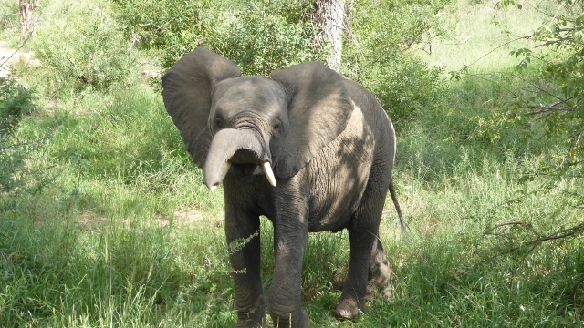 But they knew we were there!