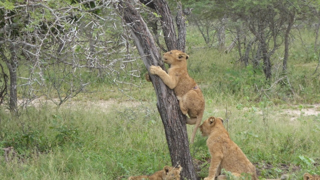 Ahh, making progress.