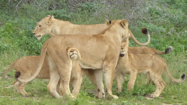 Group hug! Doesn't this just make you smile!