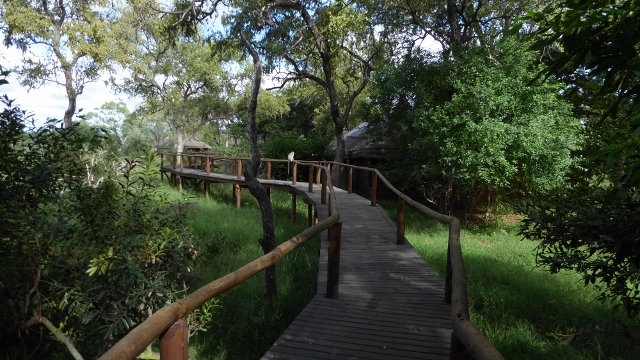 We spotted him as we were walking to #7.