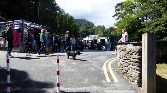 There is a very festive atmosphere here.