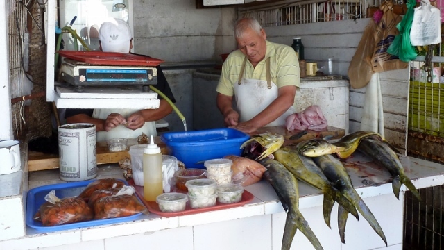 Fish Market in 2014 photo