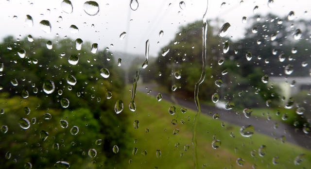 A risk of visiting the rainforest is RAIN.....