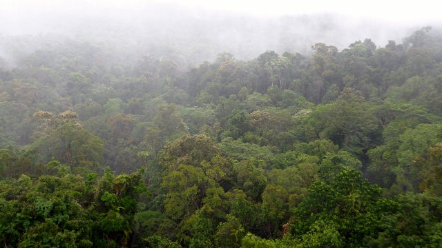 .....and rain, it did.....