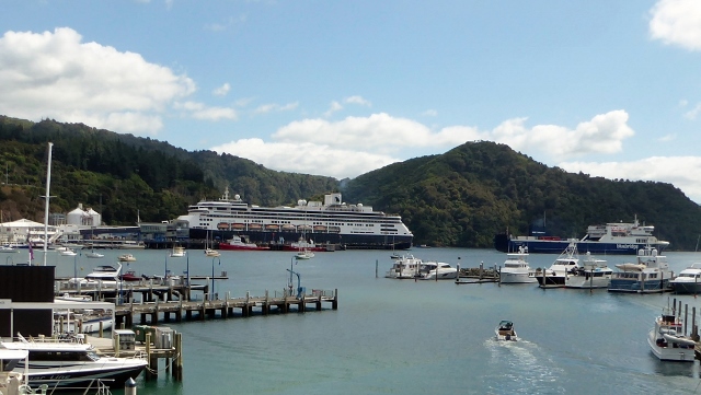 .....to snap a photo of the MS Amsterdam!!!