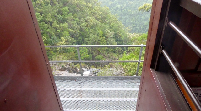 Another view of the rainforest from the train.