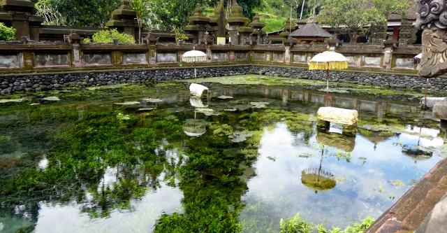 The grounds of Tirtha Empul are beautiful!