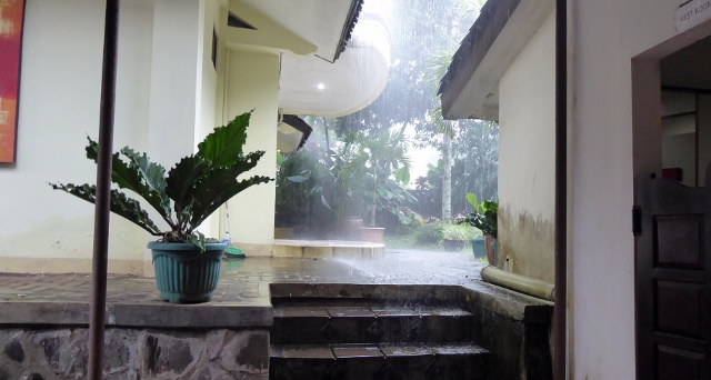 And it did not stop!  We reurned to the port and called it a day!