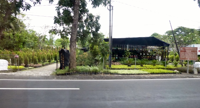 .....and more gardens.