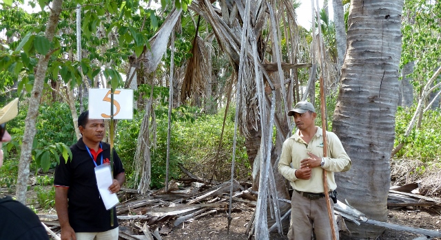 We were assigned to team #5.