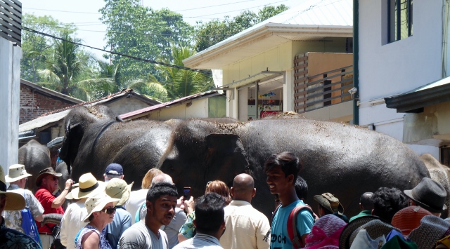 They really do get "up close and personal"