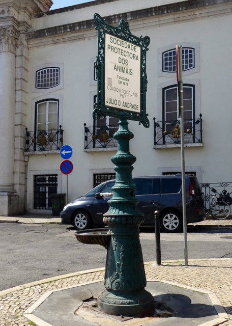 They even serve the puppy dogs!