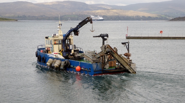And that's when the mussel harvester goes into action!