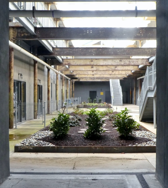 The interior courtyard of an apartment building.