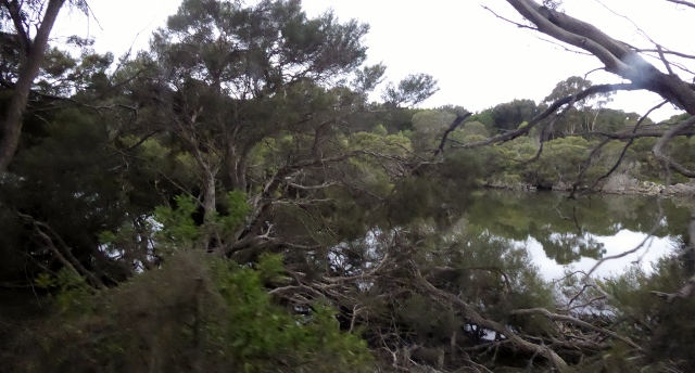 The views were lovely driving back to town along the river road.