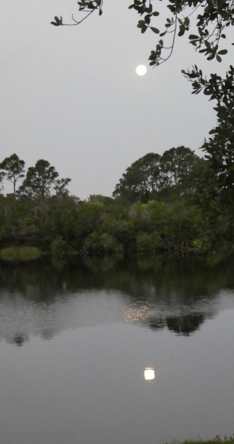 Super Pink Moon, morning April 8, 2020