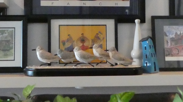 Sanderlings in a Row