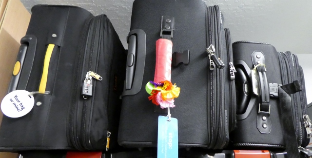 The luggage, patiently waiting for the next adventure.