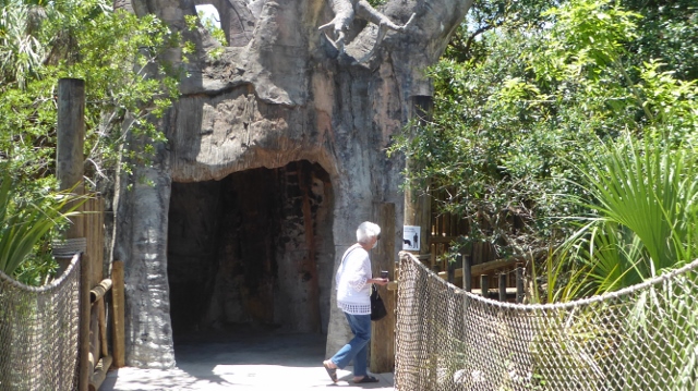 Walking about in the zoo is, of course, different.