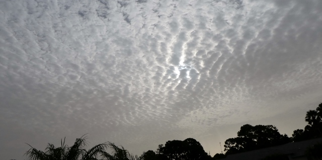 The dust cloud appears to be rolling in on a wave.