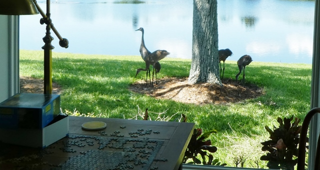 Our view from the puzzle table.