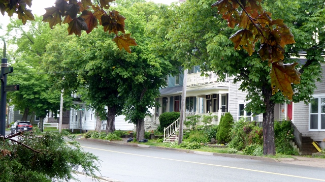 Sydney's Charming Homes